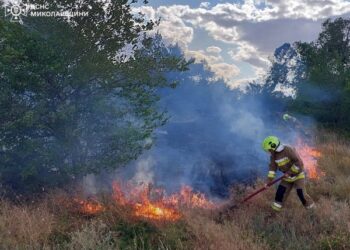 1 липня та в ніч проти 2 рятувальники області загасили 44 пожежі » Миколаївський Оглядач