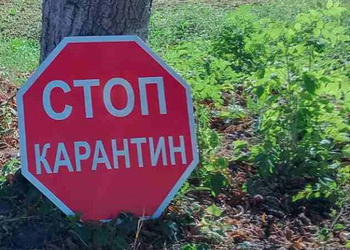 У львівському господарстві ‒ спалах АЧС – Економіка