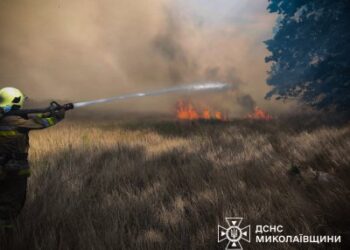 На Миколаївщині знову спостерігається тенденція до збільшення кількості пожеж за добу » Миколаївський Оглядач