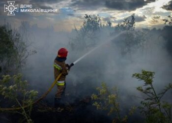 Рятувальники Миколаївщини б’ють на сполох: екосистеми знищуються вогнем щодня » Миколаївський Оглядач