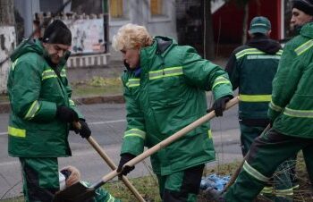 У Миколаєві висадять ще понад 300 дерев » Миколаївський Оглядач