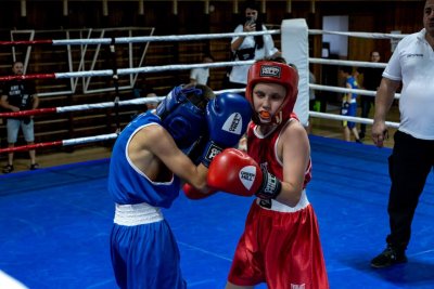 У Миколаєві завершився Кубок Миколаївської області з боксу серед юнаків » Миколаївський Оглядач