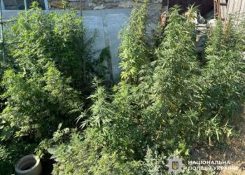 У Миколаївському районі поліцейські затримали чоловіка за підозрою у незаконному обігу наркотиків » Миколаївський Оглядач