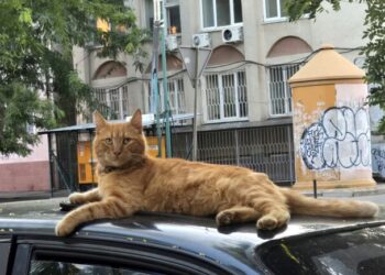 Завершение июля и первый день августа: какая погода будет в Одессе на следующей неделе