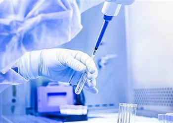 Які лабораторні методи найефективніші для контролю сальмонел у птахівництві – Економіка