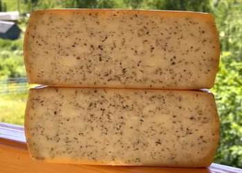 Високогірна сироварня почала виробляти гауду з травами – Економіка