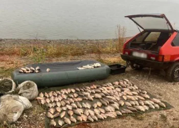 На Криворіжжі піймали браконьєра із солідним уловом