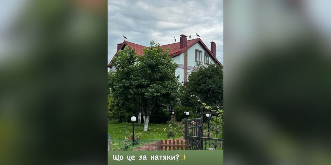 Пішла з “Дизель Шоу”, бо відвідала лелека: Яна Глущенко у 2-поверховому домі “налаштовується” на поповнення | Шоубизнес
