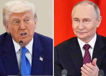 Трамп і Путін можуть узгодити мир в Україні в обмін на територіальні поступки | Політика