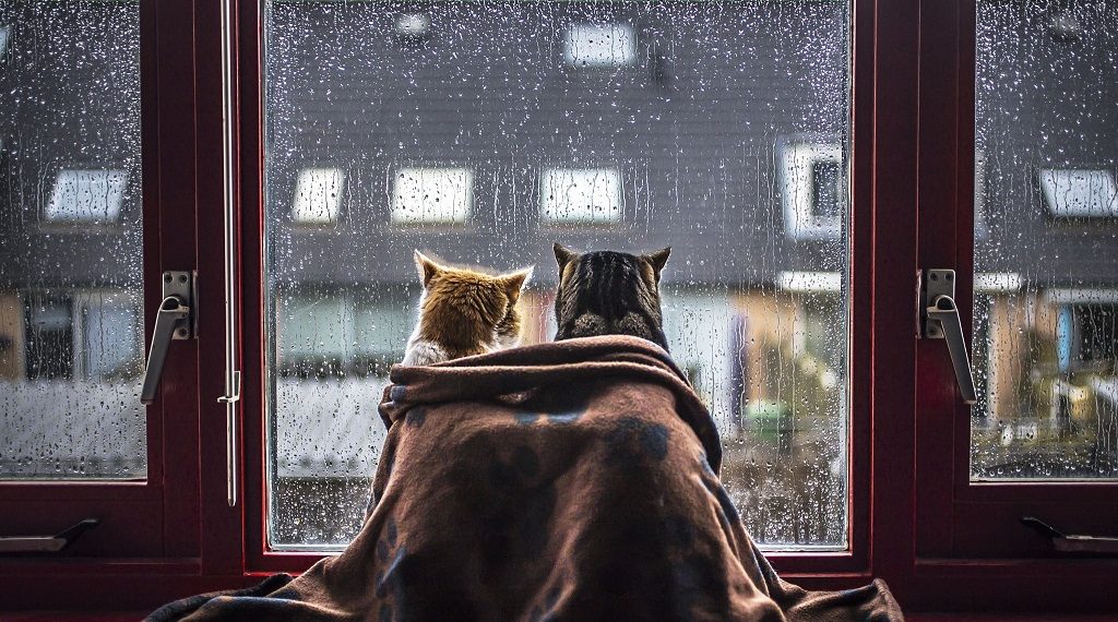 У Львові зафіксували рекорд мінімальної температури повітря за понад 60 років –