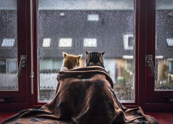 У Львові зафіксували рекорд мінімальної температури повітря за понад 60 років –