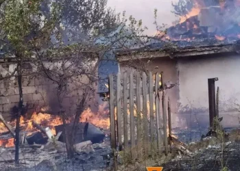 Вогонь забрав у людей житло: наслідки лісової пожежі у Миколаївці