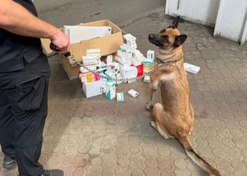 До Запоріжжя з “подарунками”: іноземка везла в Україну коробку з наркотиками