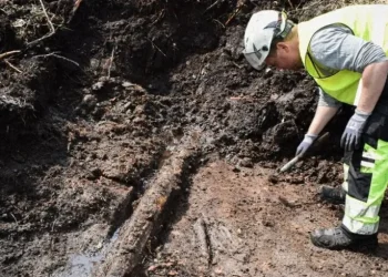 Капсулу часу знайшли в болоті — знахідка з артефактами віком 5000 років — новини археології – Світові новини