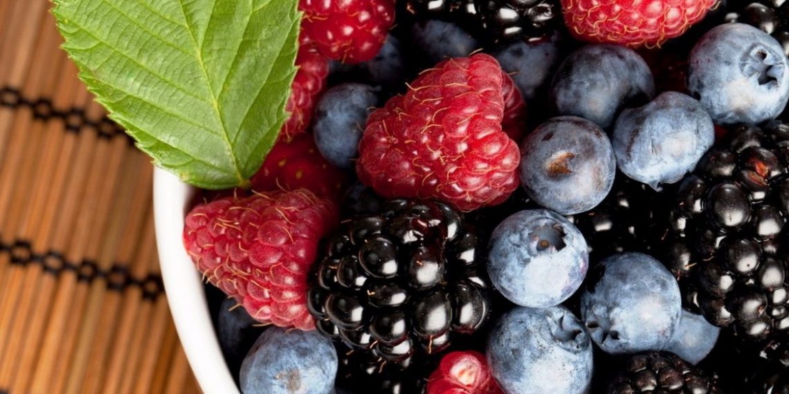 Лохина з Дрогобича: як фермерка створила ягідний бізнес –