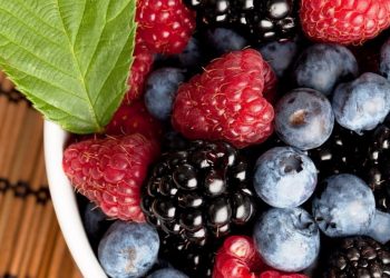 Лохина з Дрогобича: як фермерка створила ягідний бізнес –