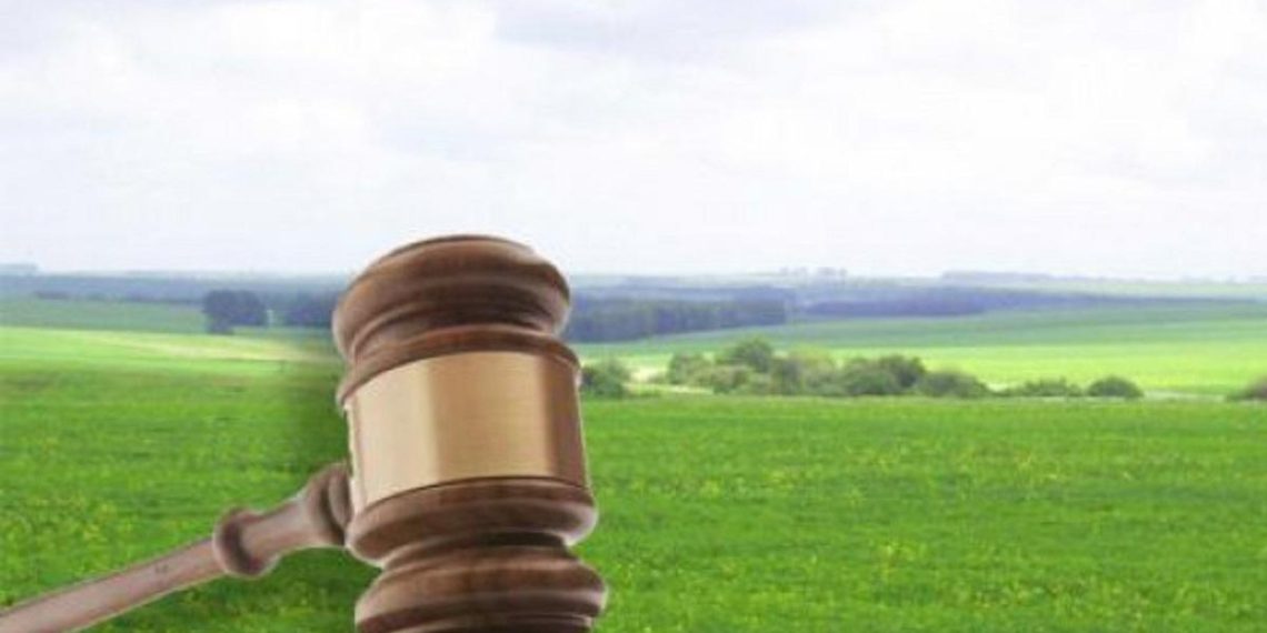 Львівська ОВА програла суд за майже 10 га землі на Білогорщі –