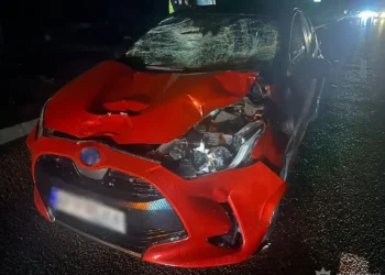 На Хортиці авто на пішохідному переході збило двох жінок: поліція шукає очевидців ДТП