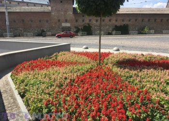 У Львові висадили 40 кущів троянд на честь Дня міста Бахмут –