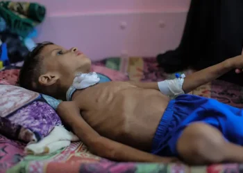 Війна Ізраїлю в Газі – скільки дітей отримало інвалідність – Світові новини