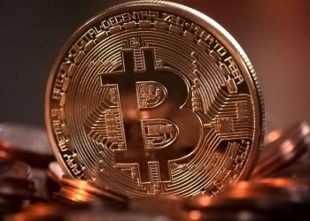 Жителя Запоріжжя підозрюють у викраденні криптовалюти на 3,5 млн грн