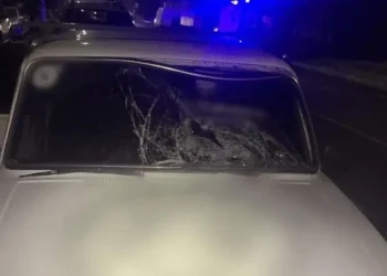 На Київщині 17-річний водій збив підлітка просто на переході: хлопця госпіталізовано