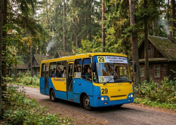 29 маршрутка Полтави