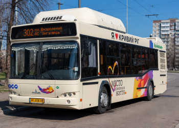 302 автобус