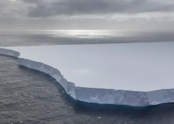 A23a майже повністю розтанув – залишки найстарішого айсберга зникнуть за кілька тижнів – новини світу – Світові новини