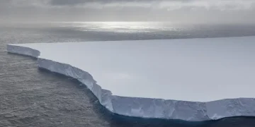 A23a майже повністю розтанув – залишки найстарішого айсберга зникнуть за кілька тижнів – новини світу – Світові новини