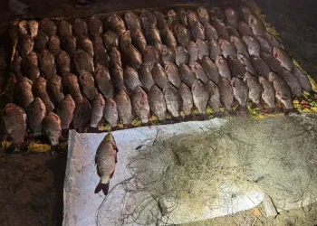 Біля Кам’янського піймали браконьєрів