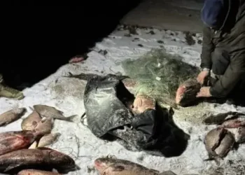 Біля Кривого Рогу піймали браконьєра з великим уловом