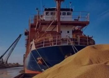 Більше 4 млн тонн українського зерна вкрала РФ на ТОТ