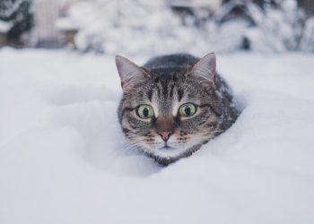 До -7 °С и первый снег: какая погода будет в Одессе на следующей неделе