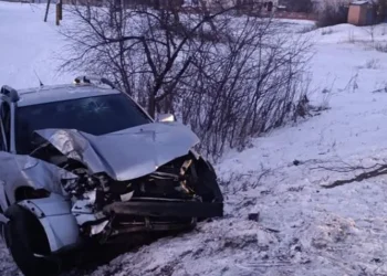 ДТП на Черкащині: водій з’їхав з дороги та врізався в дерево, постраждали двоє людей