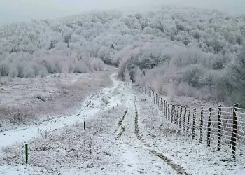 Двоє чоловіків отримали обмороження при спробі перетнути державний кордон