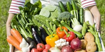 Фермеры юга Украины ежегодно теряют сотни миллионов долларов из-за нехватки воды: что стало причиной