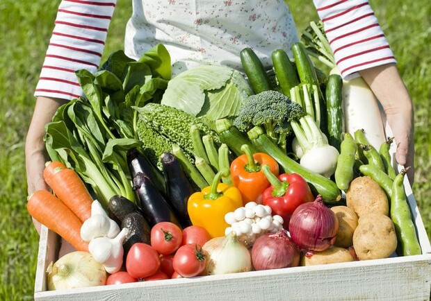 Фермеры юга Украины ежегодно теряют сотни миллионов долларов из-за нехватки воды: что стало причиной