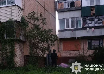 Косив траву: у Нікополі чоловік підірвався на боєприпасі