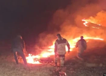 Лісові пожежі у Вірменії – полум’я охопило шість регіонів країни – Світові новини