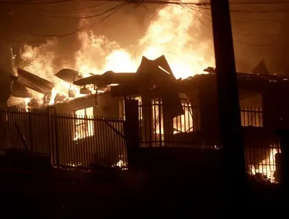 Лісові пожежі в Чилі - вогонь зруйнував сотні будинків і спричинив масову евакуацію - фото 5