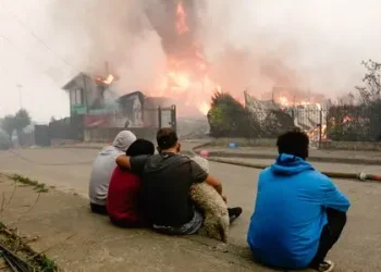 Лісові пожежі в Чилі – вогонь зруйнував сотні будинків і спричинив масову евакуацію – фото – Світові новини