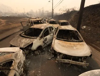 Лісові пожежі в Чилі - вогонь зруйнував сотні будинків і спричинив масову евакуацію - фото 3