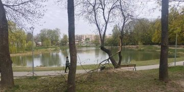 Львів переживає наслідки негоди: комунальники прибирають 21 пошкоджене дерево –