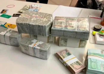 Мільйон доларів та елітна нерухомість: у Дніпрі чиновницю підозрюють у масштабному незаконному збагаченні