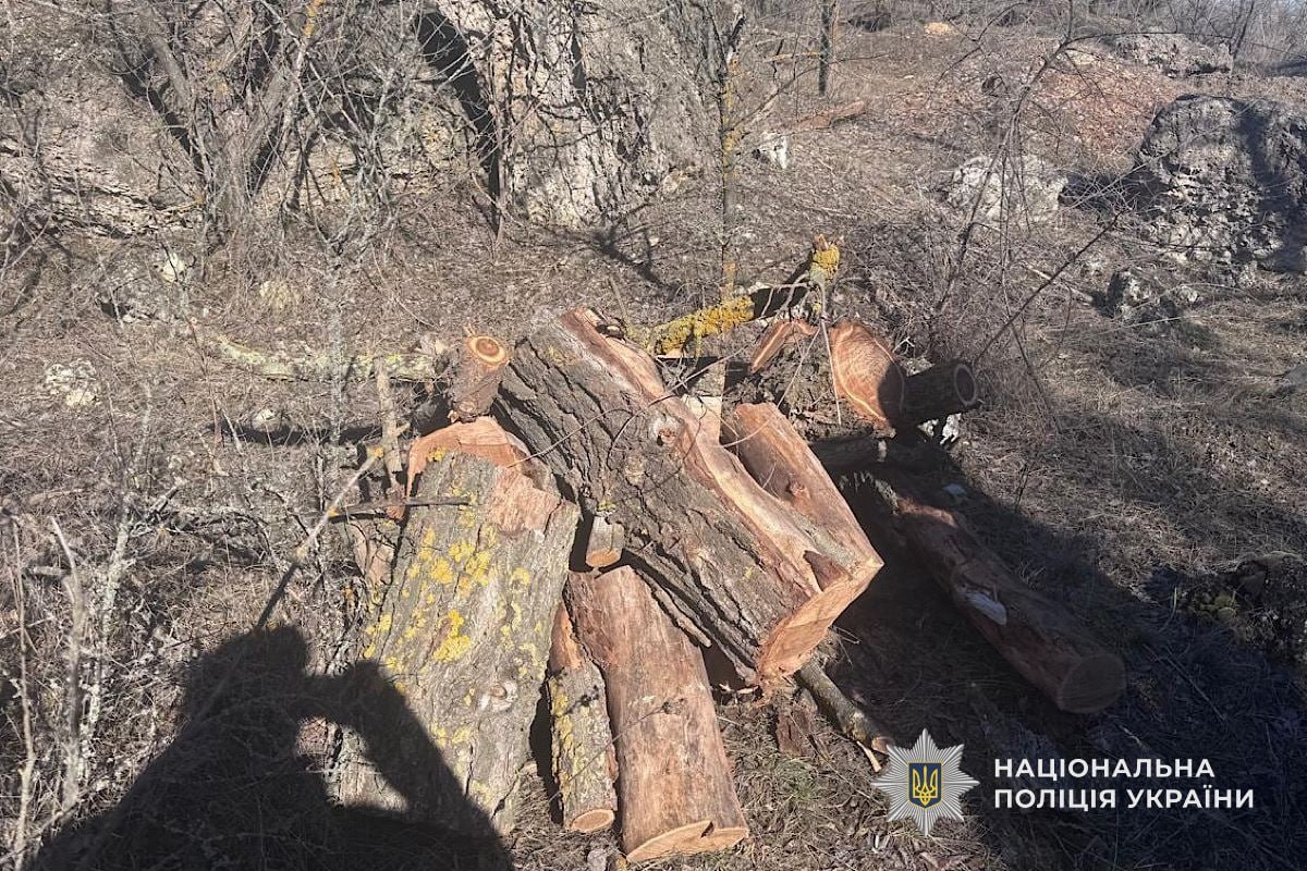 На Криворіжжі затримали "чорного" лісоруба