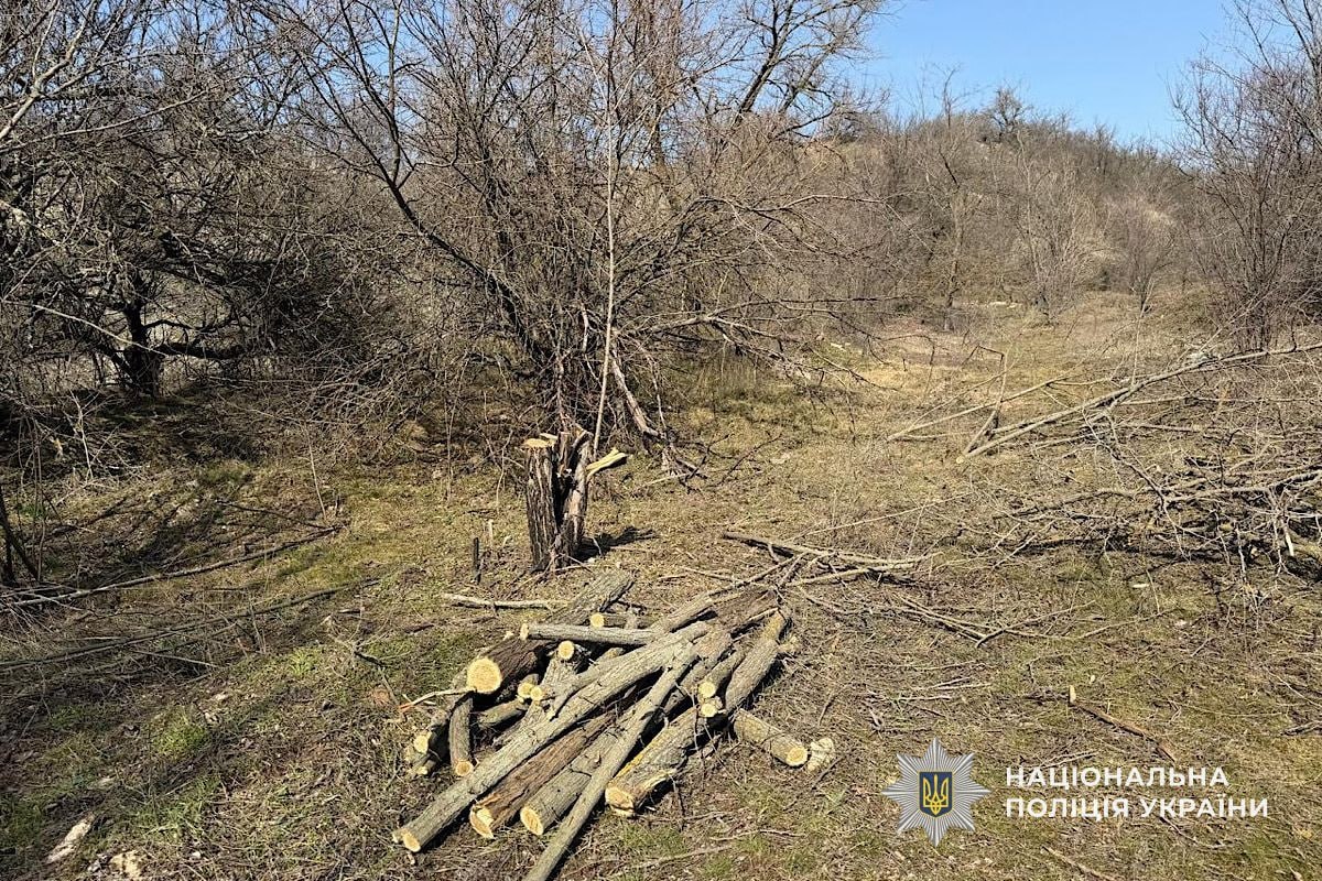 На Криворіжжі затримали "чорного" лісоруба