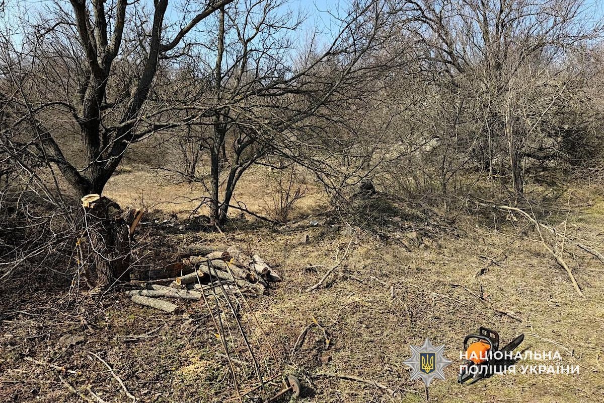 На Криворіжжі затримали "чорного" лісоруба