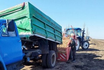 На Миколаївщині розпочали посадку ранньої картоплі під агроволокном »