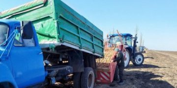 На Миколаївщині розпочали посадку ранньої картоплі під агроволокном »